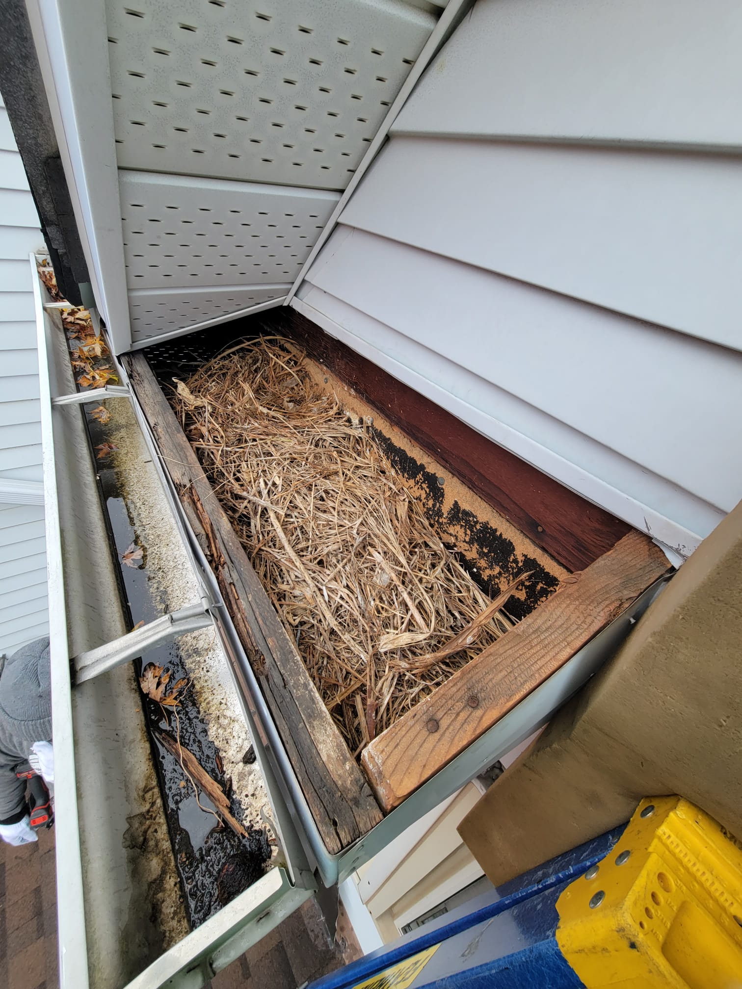 Roof Repair project 1